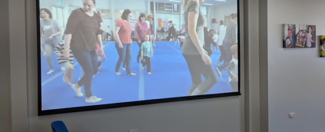 Seacliff Recreation Centre - Projector and screen installed